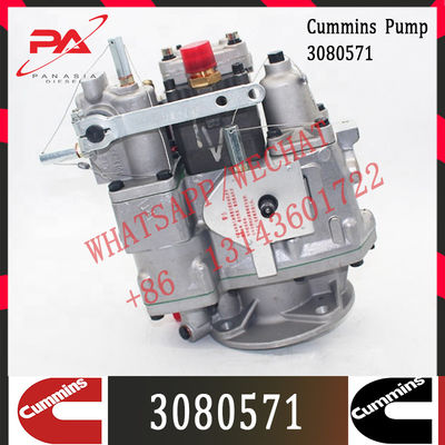 Iniezione diesel per la pompa del carburante di Cummins K19 KTA19 3080571 3088361 3086397